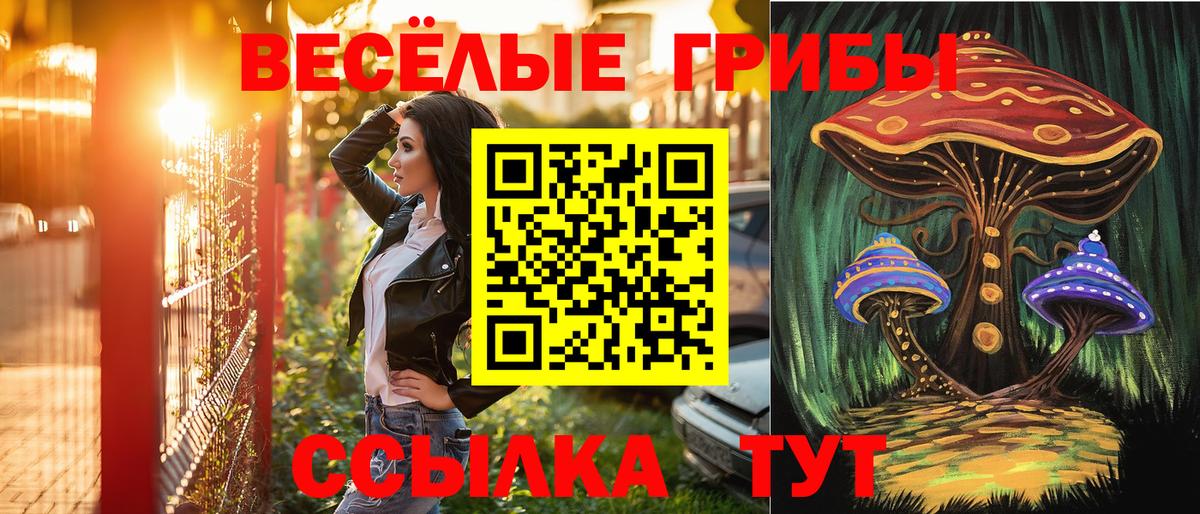 Орск  Галлюциногенные грибы MAGIC MUSHROOMS  Галлюциногенные грибы Cubensis  Вход с VPN 