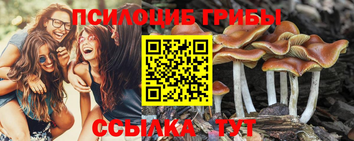 Псилоцибиновые грибы мицелий Орск